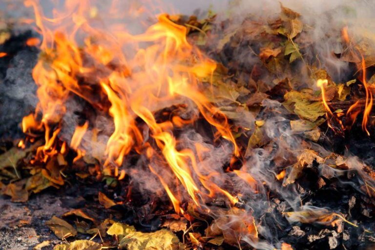 b26b86518cfcb84163aff (2)