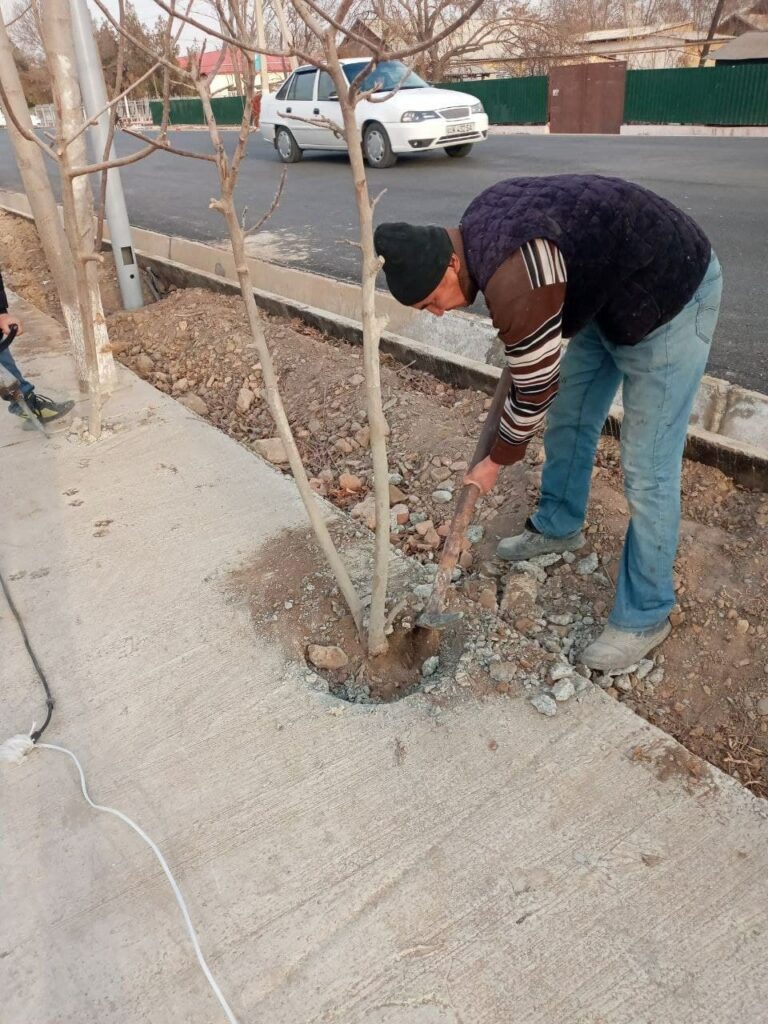 603445881d20ed37f9349