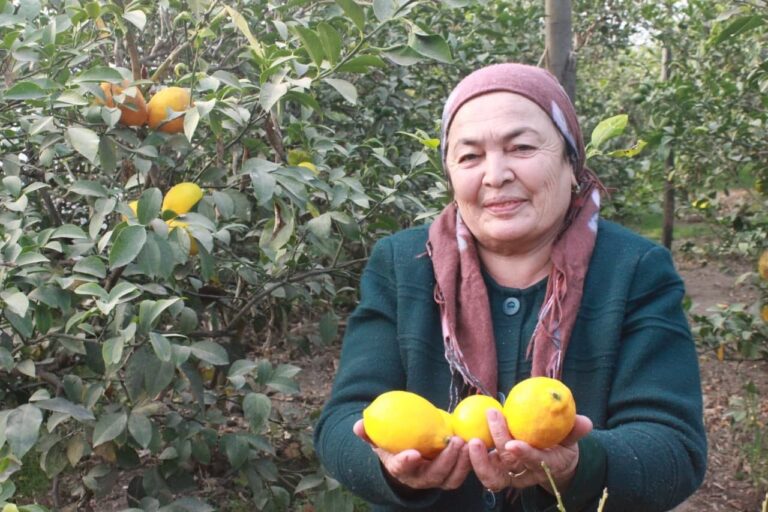 3252332520f07b6038d89