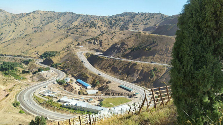 3be225675c65313614d72