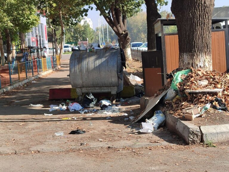 photo_2024-11-01_11-32-46