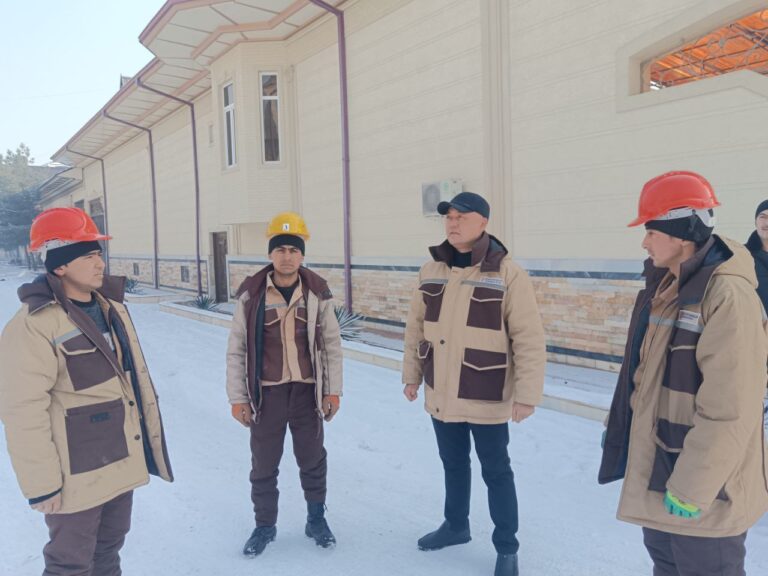 photo_2024-12-20_12-00-44